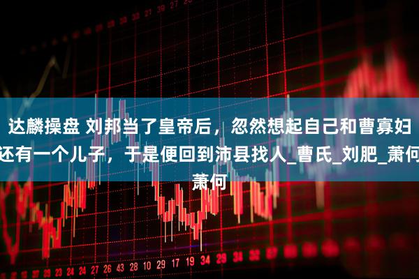 达麟操盘 刘邦当了皇帝后，忽然想起自己和曹寡妇还有一个儿子，于是便回到沛县找人_曹氏_刘肥_萧何