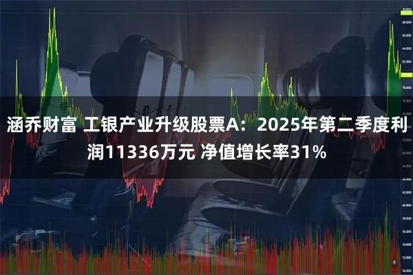 涵乔财富 工银产业升级股票A：2025年第二季度利润11336万元 净值增长率31%
