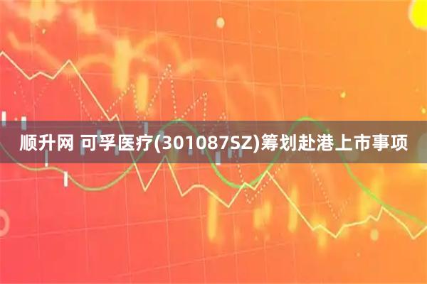 顺升网 可孚医疗(301087SZ)筹划赴港上市事项