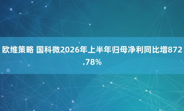 欧维策略 国科微2026年上半年归母净利同比增872.78%