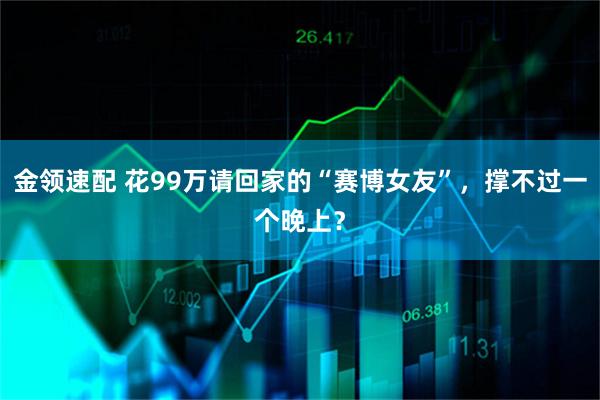金领速配 花99万请回家的“赛博女友”，撑不过一个晚上？